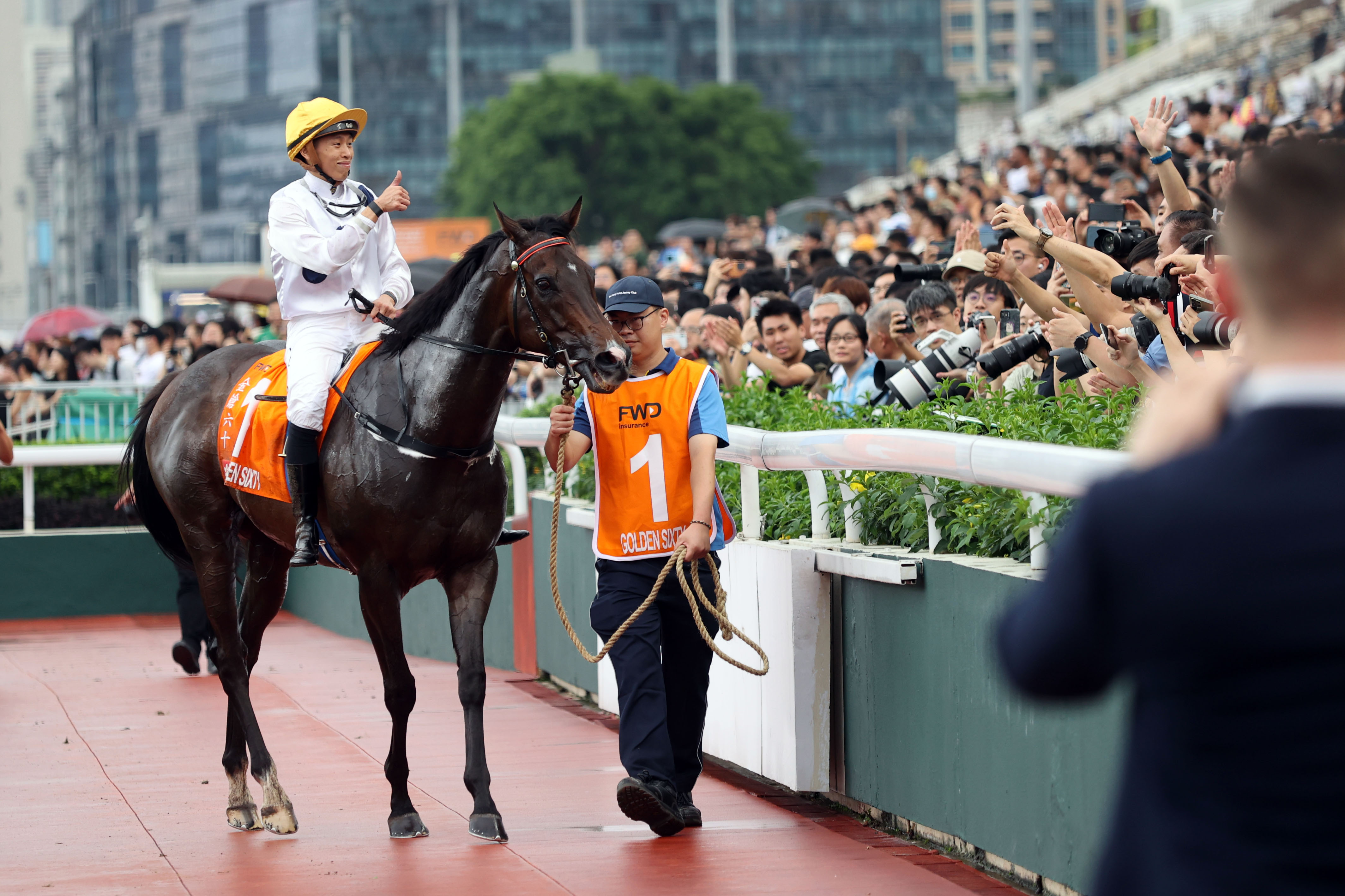 2024香港赛马全年免费资料,全面理解执行计划_Console83.74