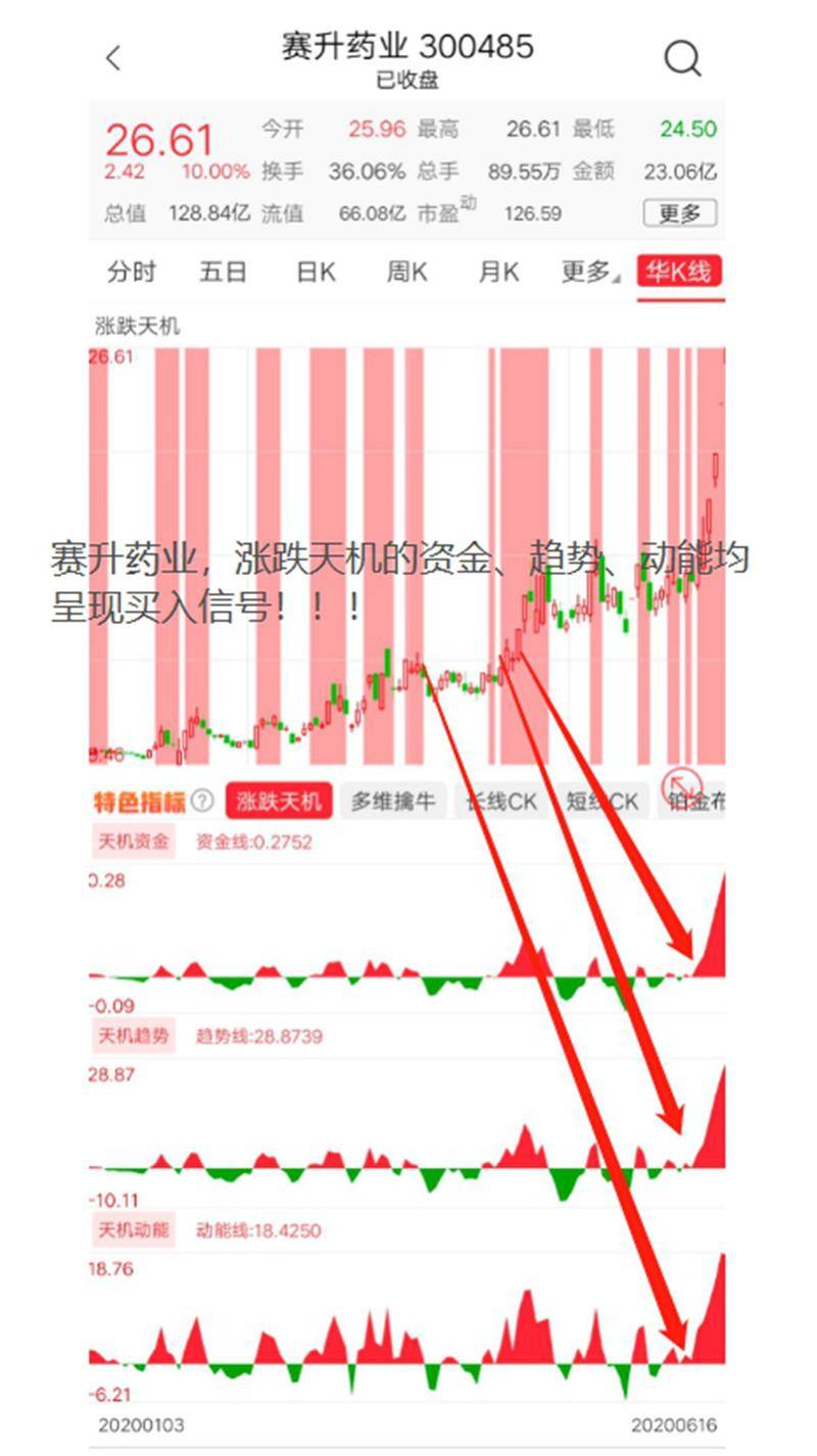 2024年12月10日