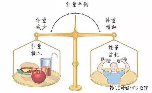 清晨习惯对身体机能一整天的影响探究