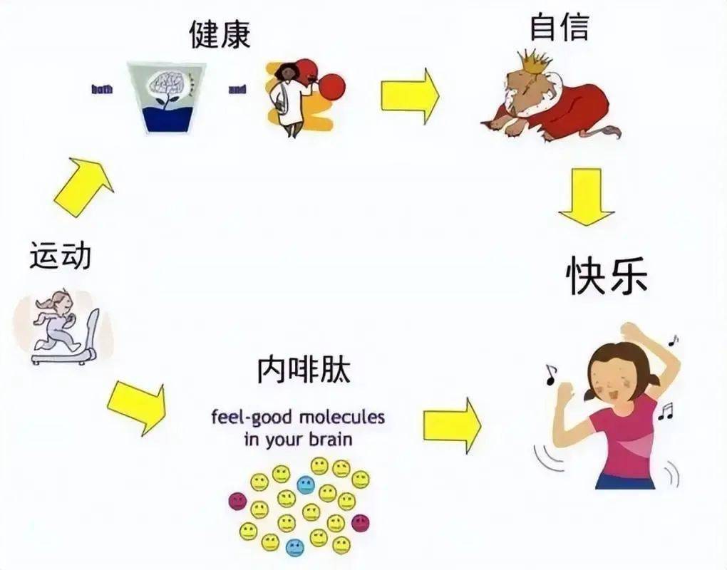 不同运动方式对心肺功能与全身协调性的综合影响研究