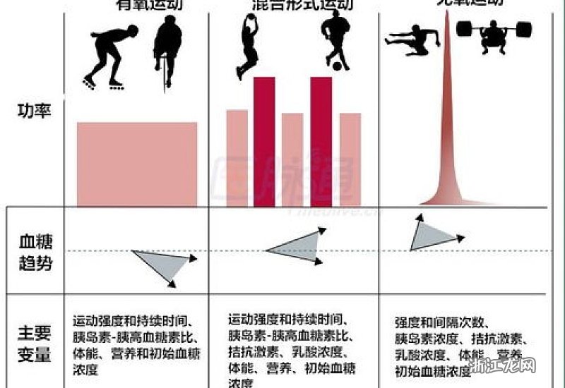 运动调节血糖水平，预防糖尿病的有效方法