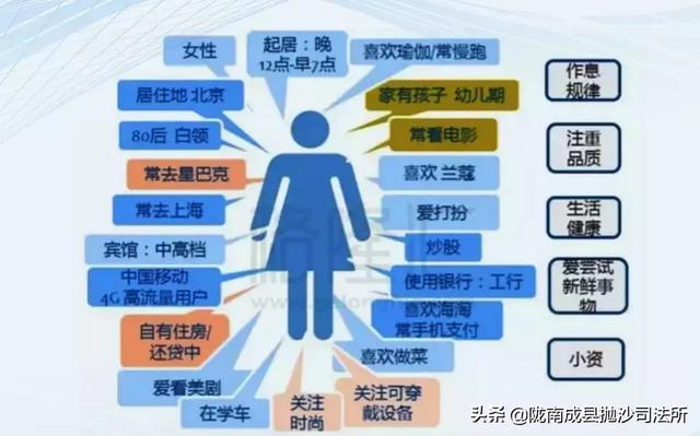 管家婆一码一肖资料,数据驱动执行方案_体验版3.3