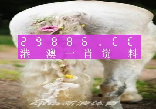 今晚必中一肖一码四不像,权威说明解析_入门版21.624