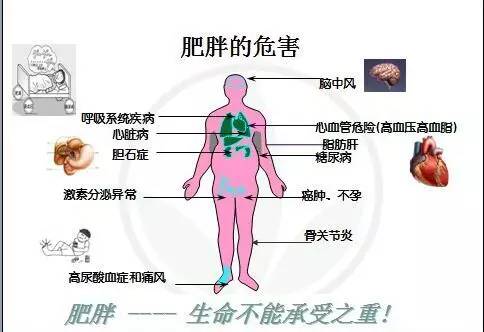 减少油脂摄入对心脏健康的积极影响