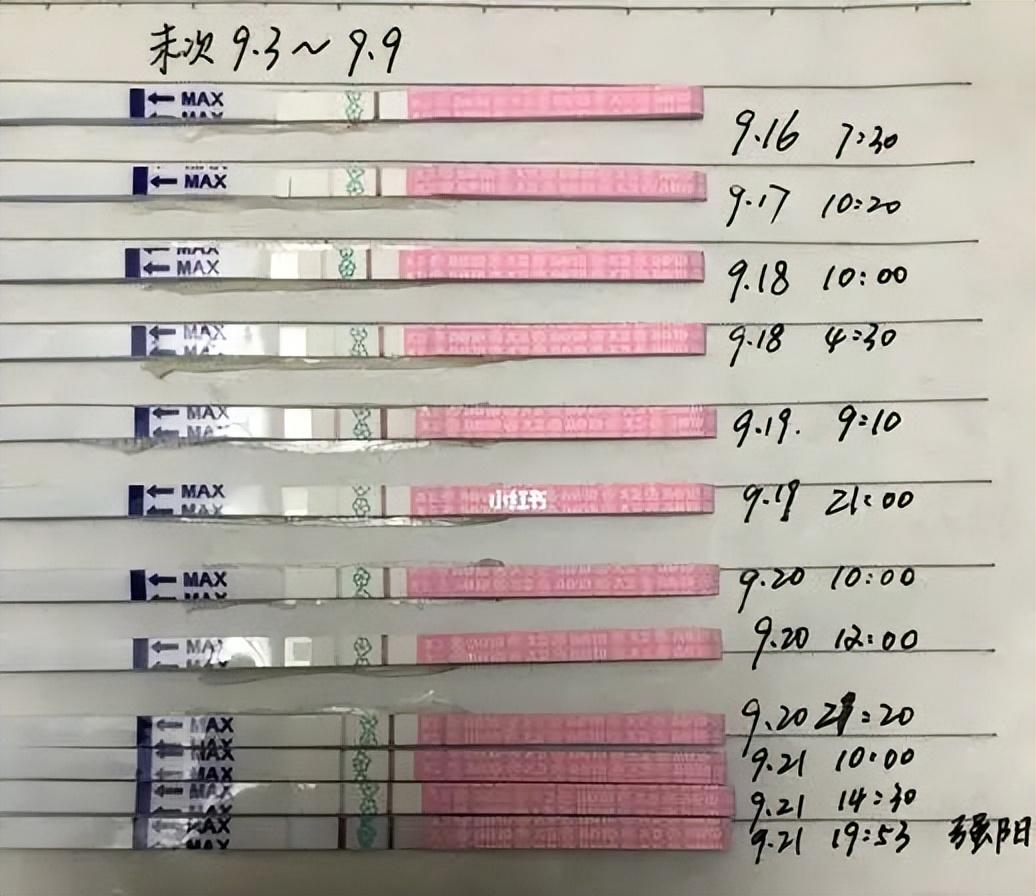 日常喝水的最佳时机及其对身体健康的影响