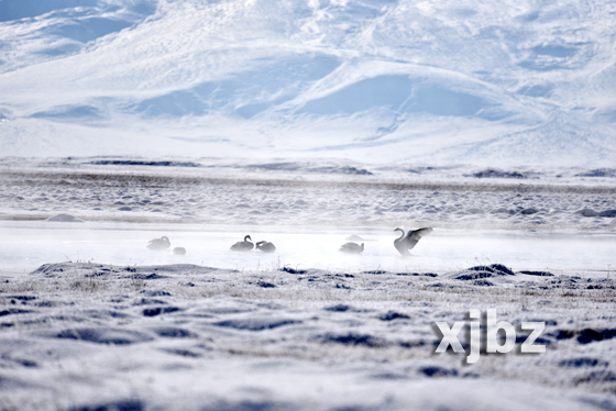 巴音布鲁克极寒天气，-42.5℃下的手机杀手危机