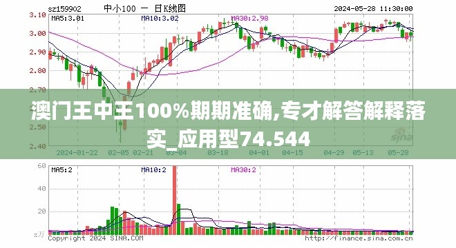 澳门王中王100期期中一期林,多元化策略执行_Surface80.641