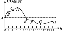 细胞培育技术重塑食品供应，未来食品产业的新篇章