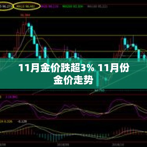 2024年12月16日 第13页