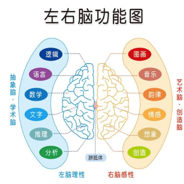 社交能力培养对学生未来发展的深远影响