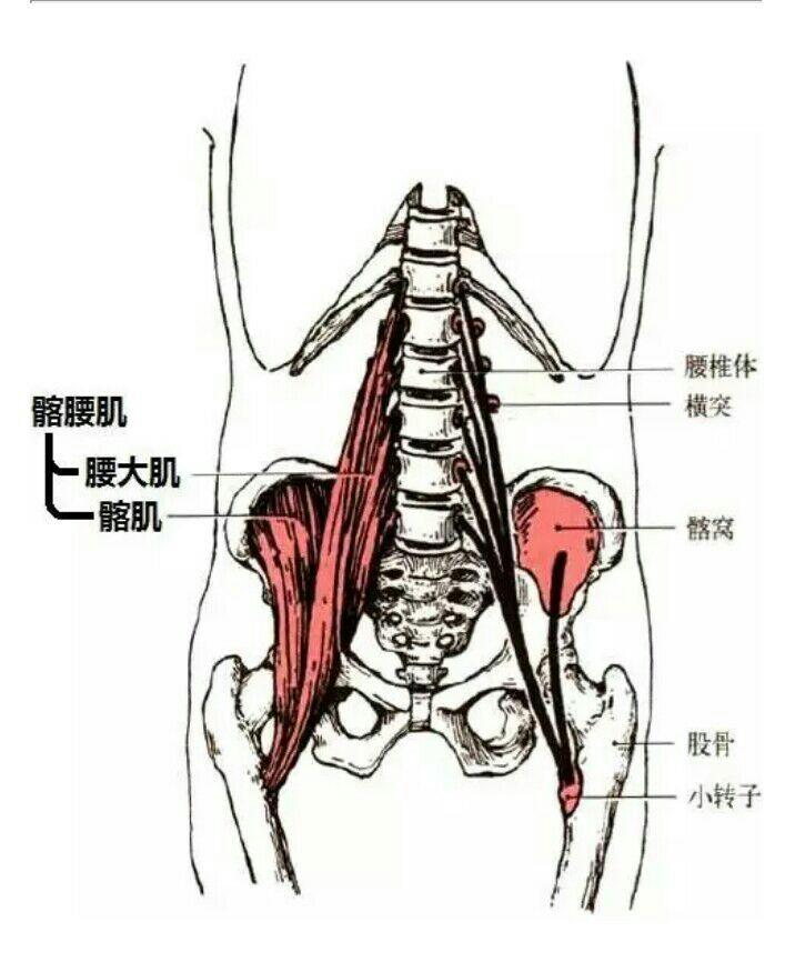 体态调整对预防脊柱问题的重要性研究