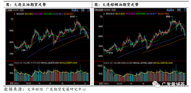 62626969澳彩大全2022年3084,实用性执行策略讲解_特供版13.953