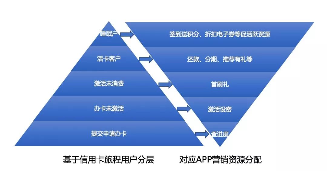 澳门天天免费精准大全,数据设计驱动策略_SP31.247