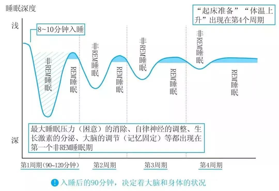 每日充足睡眠对情绪波动的调节至关重要