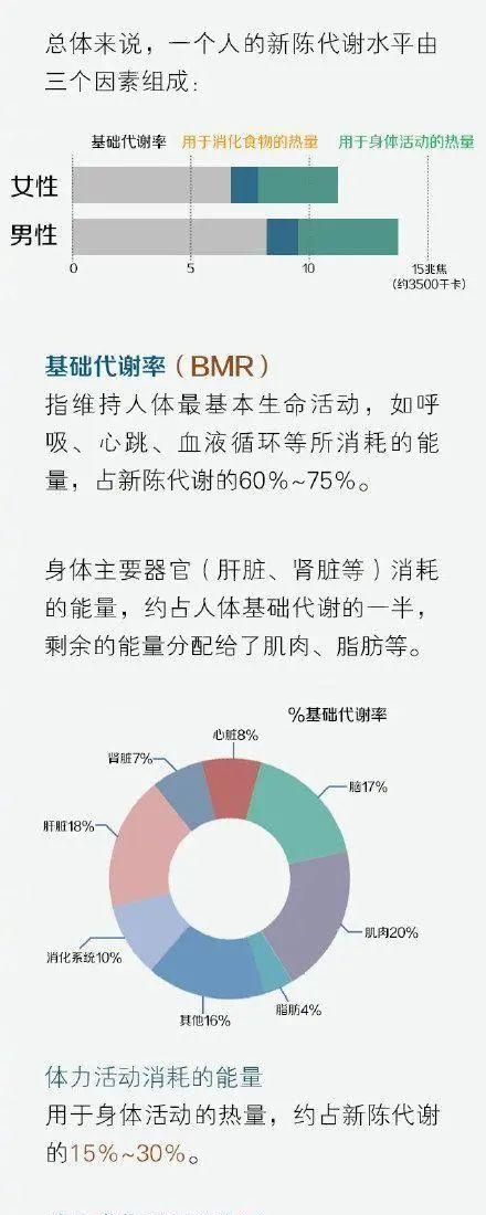 大量水分摄入与新陈代谢的关联研究