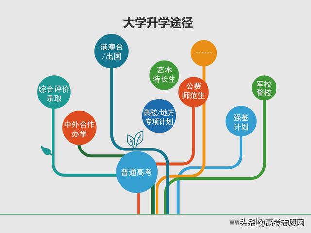 高中阶段学科选择对学子发展路径的深远影响