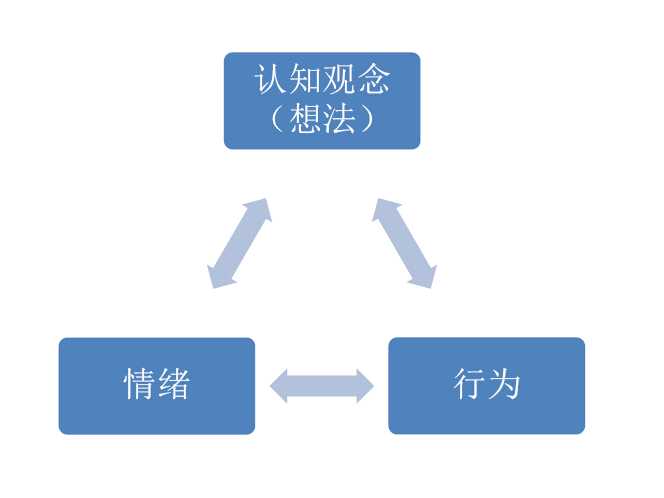 情感与认知并重的教学方法，培育全面发展学生个性的关键