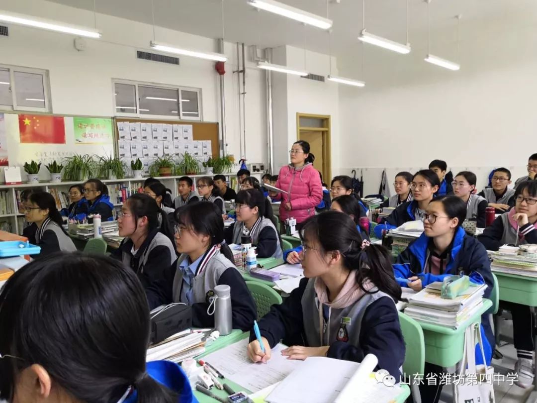 学生自主学习与教师支持的互动，构建高效学习环境的双赢策略