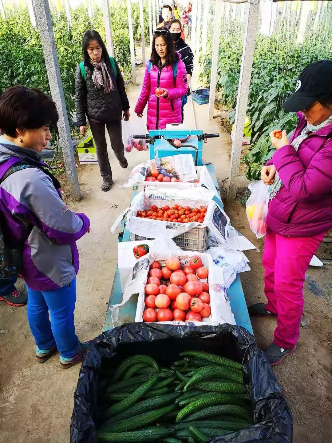 森林采摘之旅，野外美味的探寻与品尝