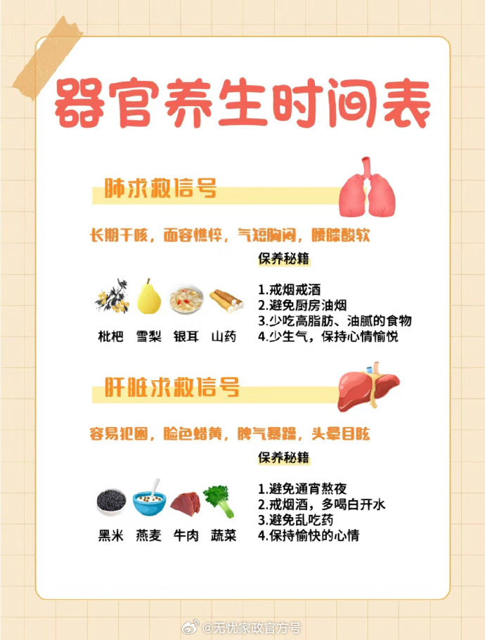 不同季节养生要点概览