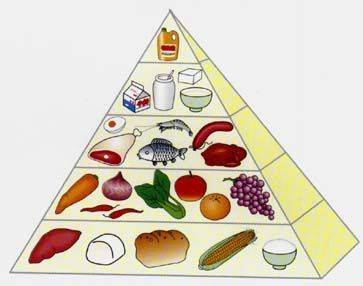 科学管理日常饮食摄入量之道