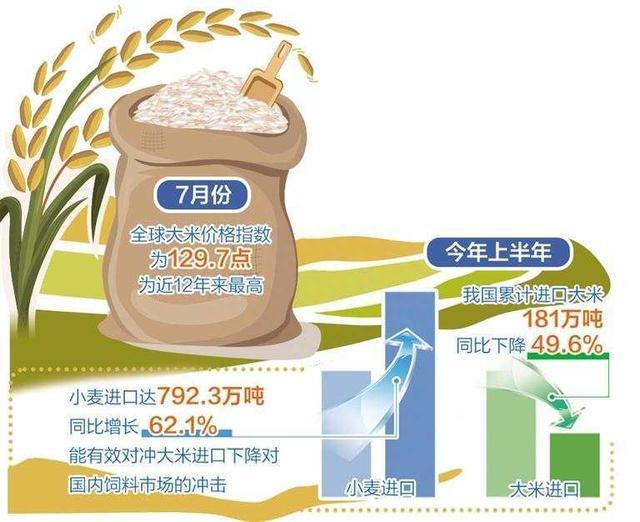 全球粮食安全议题引多国热议关注