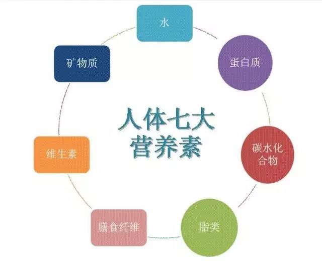 代谢性疾病的预防与早期诊断技术探讨