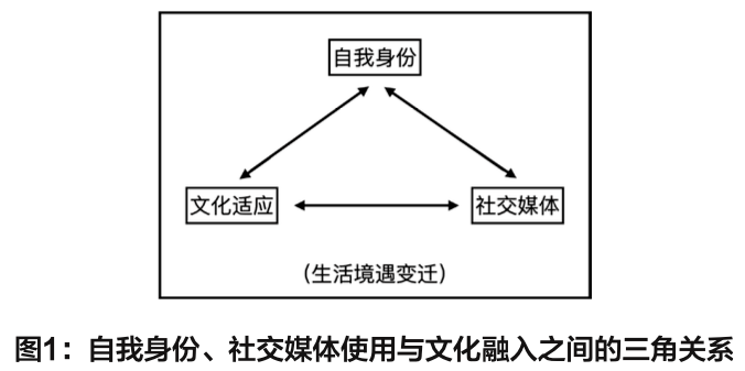 文化身份构建与社会关系影响，多维度探讨