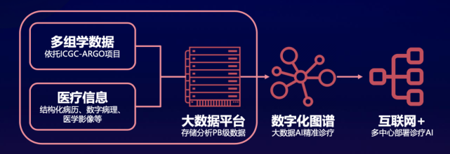 数字化医疗记录在疾病管理中的潜力与前景展望