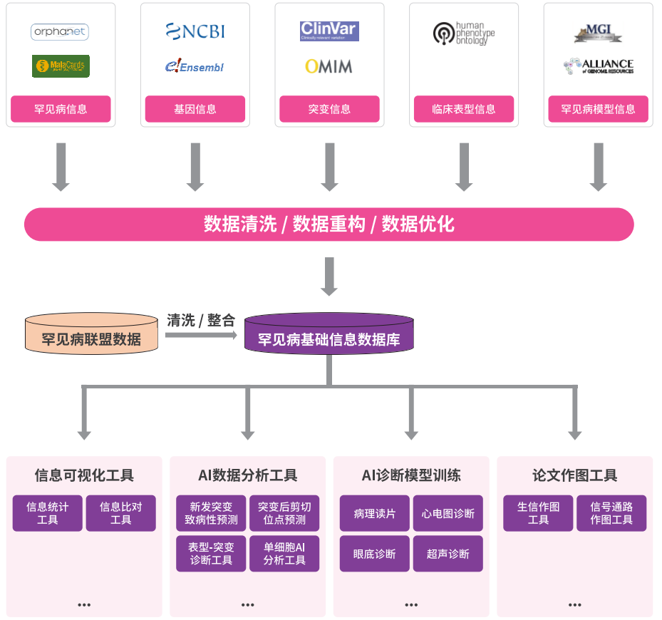 基因疗法在罕见病治疗中的探索与进步