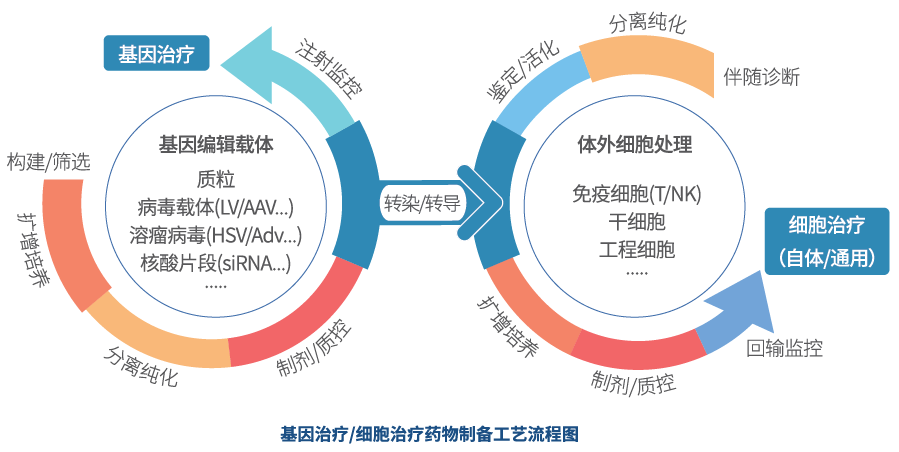 癌症免疫疗法与传统治疗方式的融合优势