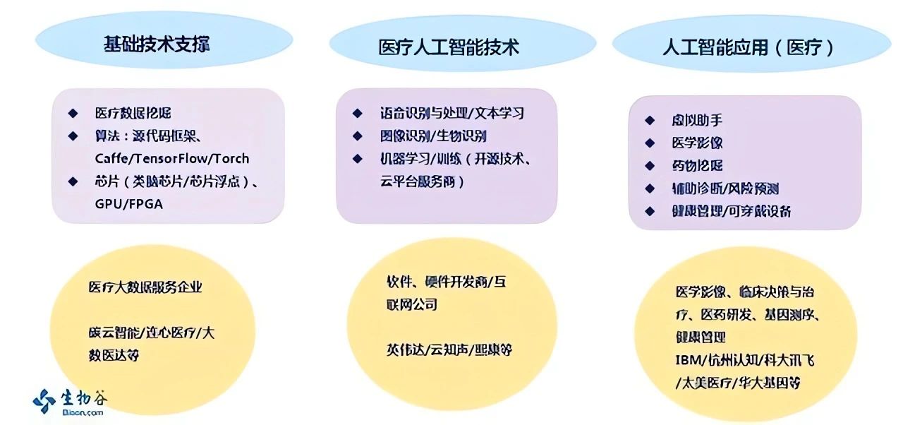 医疗人工智能在精准医疗中的潜力与应用探索