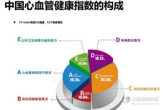 精神健康服务资源分配与公平性问题探讨，寻求平衡与发展之道