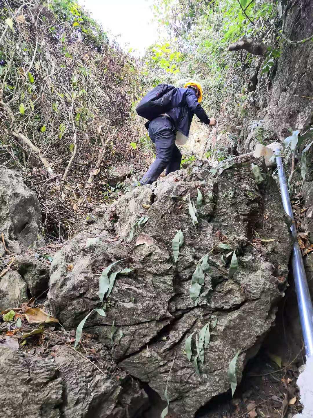 移动健康应用，慢性病管理的创新利器