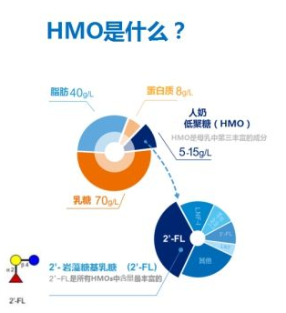 免疫系统与健康长寿的紧密关联