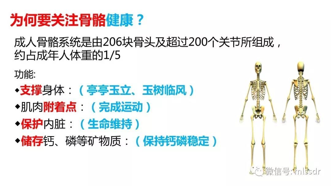 骨骼健康与生活方式，构建健康生活的关键要素解密