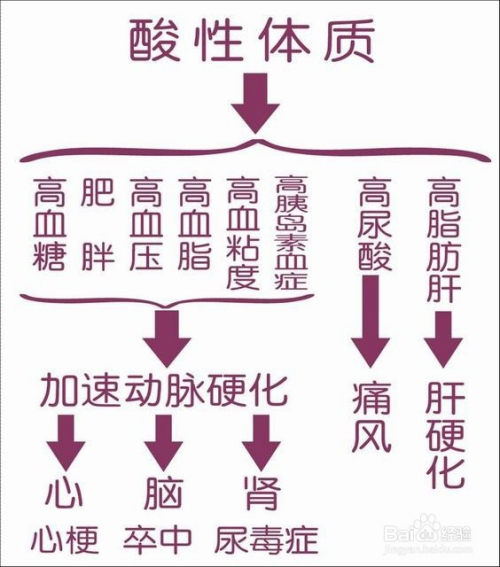 改善体质与预防疾病的科学秘诀