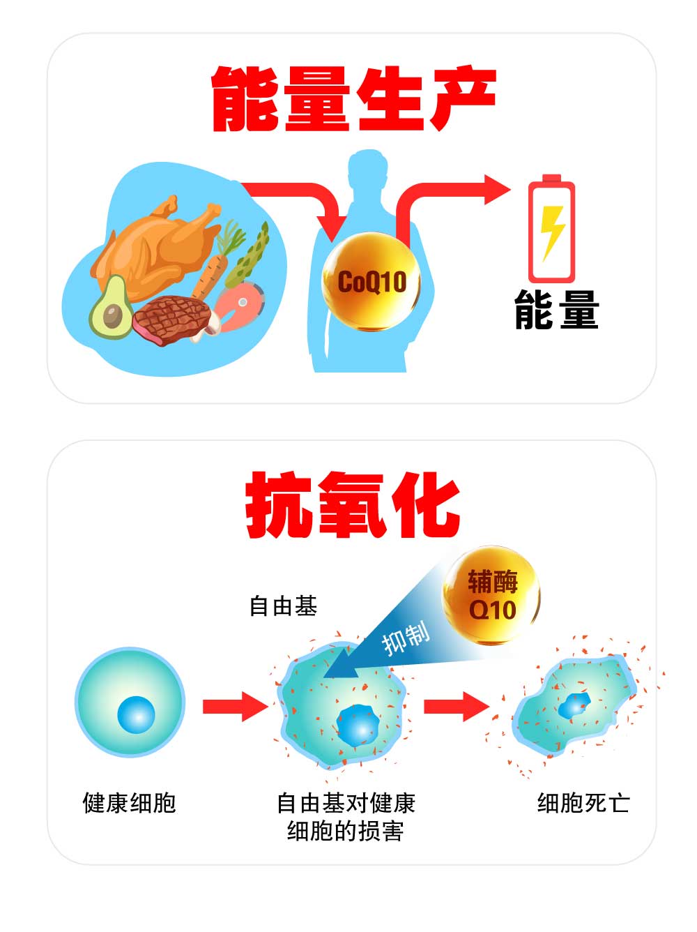 营养补充品在抗氧化中的潜在益处探究