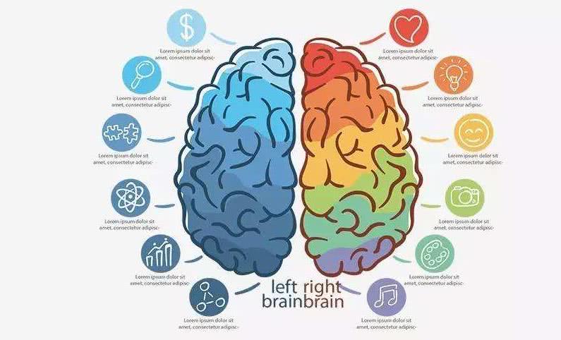 大脑健康管理误区解析与科学依据探讨