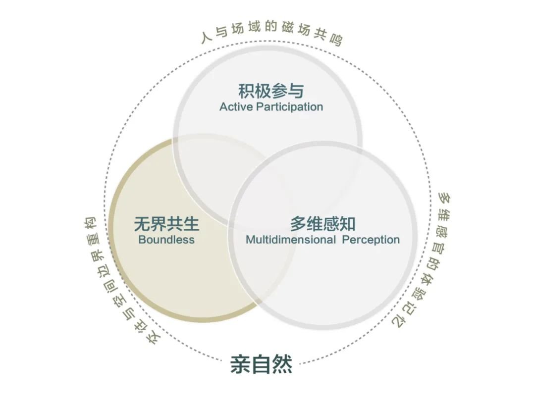 身心健康互动关系的科学理解