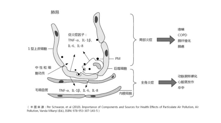 空气污染对心脏健康的潜在危害研究