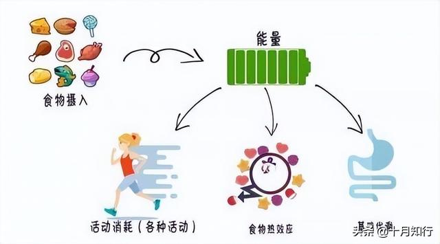 运动恢复营养补充全攻略