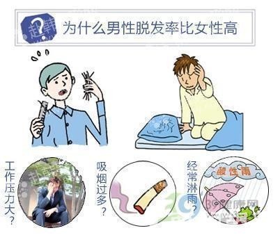 女性荷尔蒙对健康的深远影响及管理机制解析