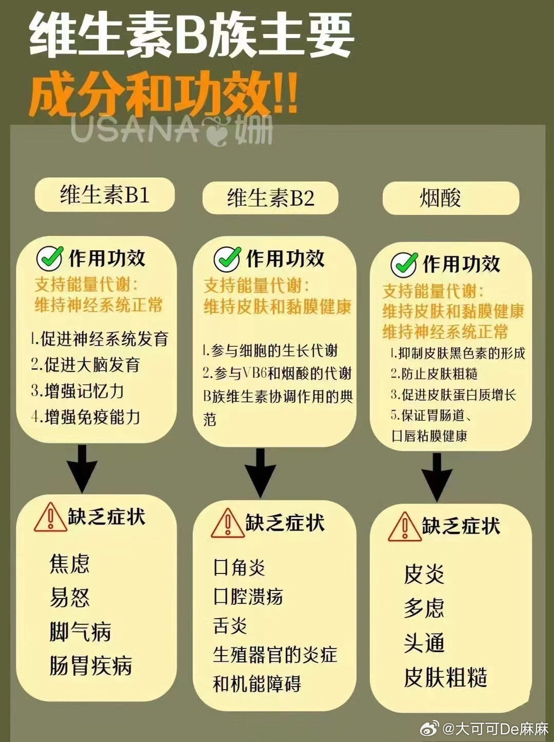 维生素B群在能量生产与代谢中的关键作用