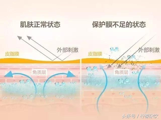 外部环境与皮肤健康的深度关联与理解探讨