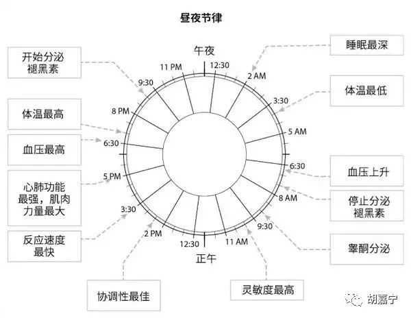 高质量睡眠对提升工作效率的重要性