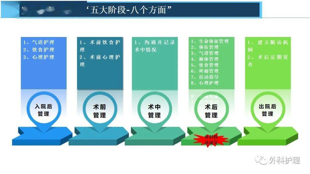 营养治疗在肿瘤患者康复中的综合应用与效果研究