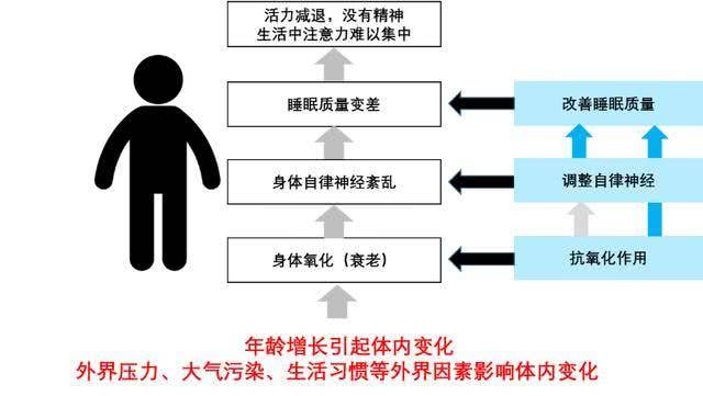 科学睡眠对代谢健康至关重要