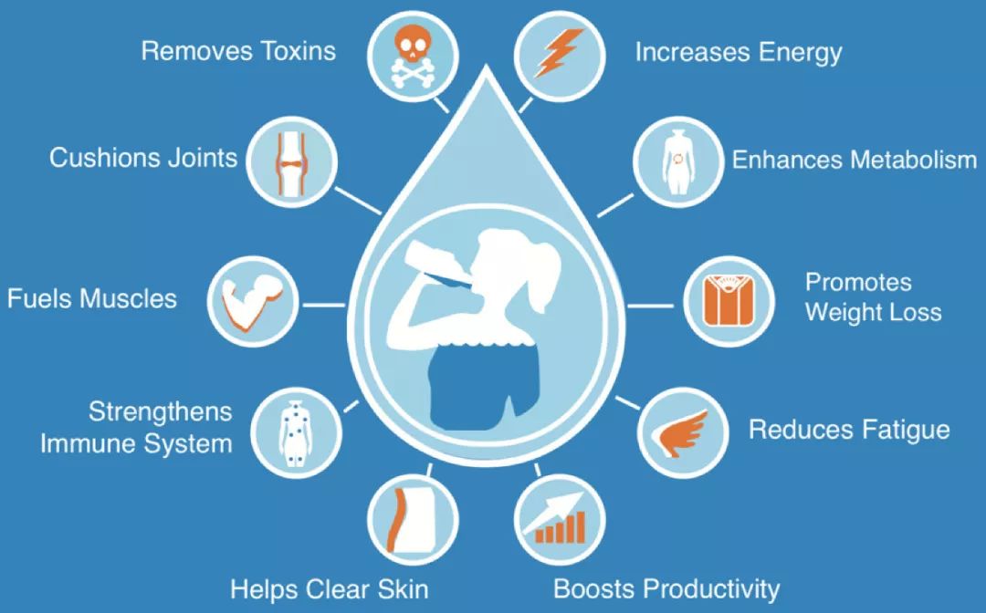 饮水习惯对维持身体新陈代谢的重要性