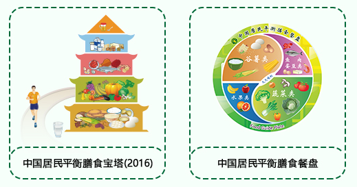 合理膳食对维持体内平衡的重要性